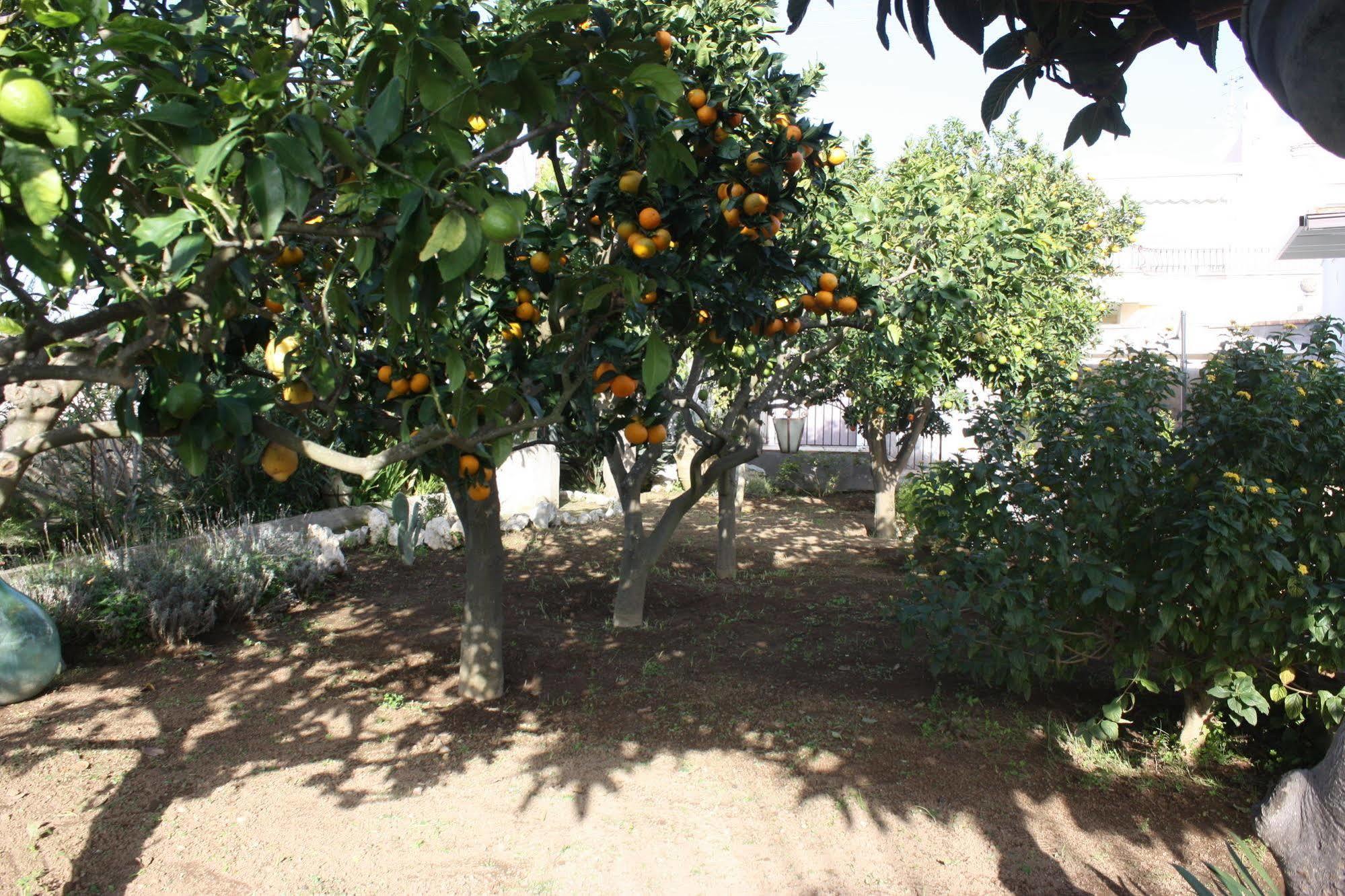 Casetta Minghitto Anacapri  Luaran gambar
